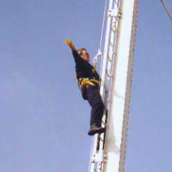 Leary Construction Safety Harness